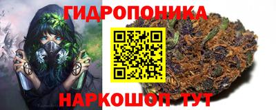 стафф Вязьма