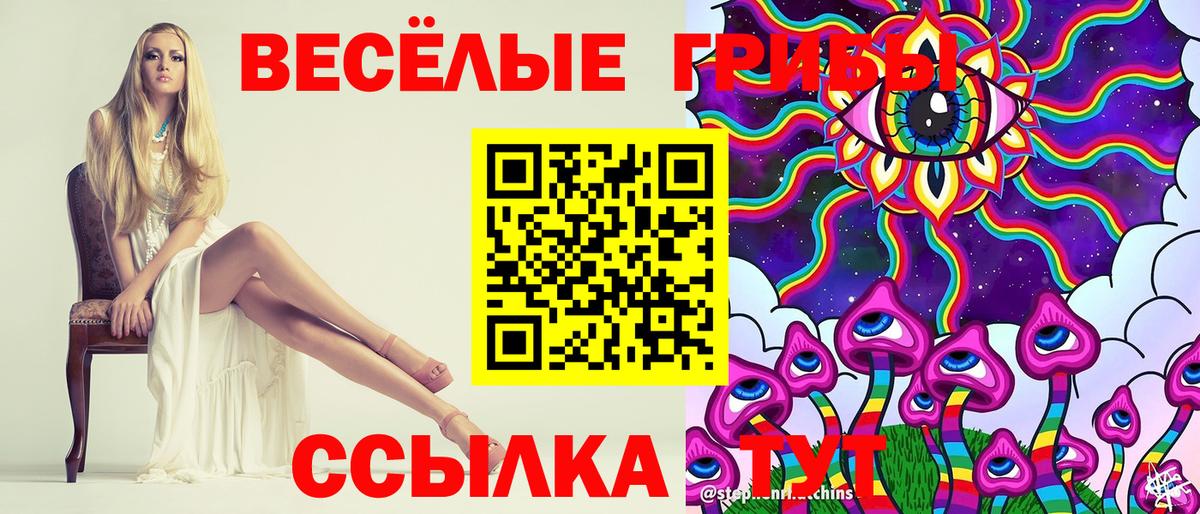 Псилоцибиновые грибы мицелий  как найти закладки  Борисоглебск  Псилоцибиновые грибы Cubensis 