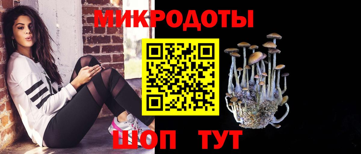Борисоглебск  Галлюциногенные грибы прущие грибы  Вход с VPN  Галлюциногенные грибы ЛСД 
